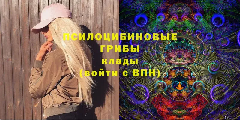 как найти наркотики  Бирск  кракен вход  Галлюциногенные грибы Psilocybe 