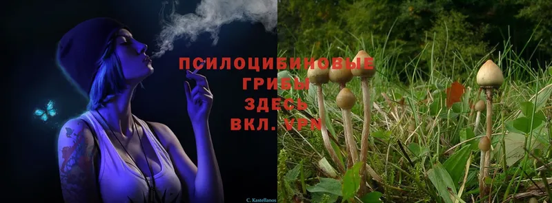 Галлюциногенные грибы Magic Shrooms Бирск